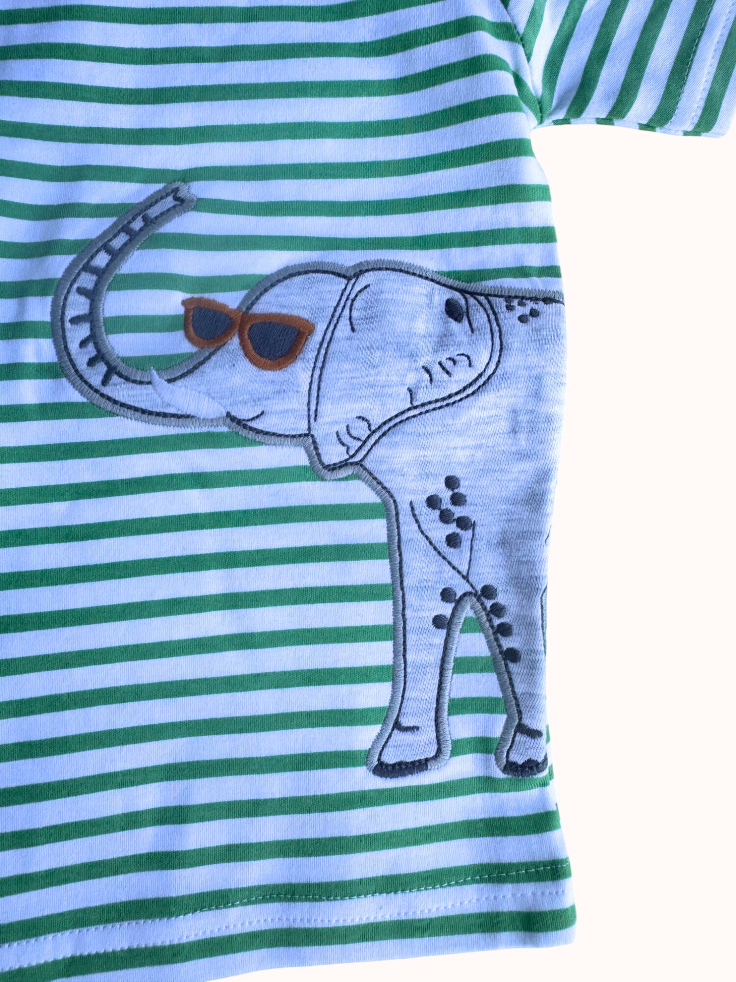 Wild Animal Boys Set